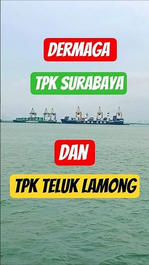 🔴DERMAGA TPK SURABAYA DAN TELUK LAMONG
