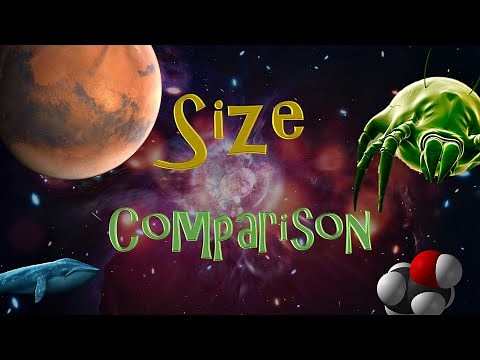 Ultimate Size Comparison