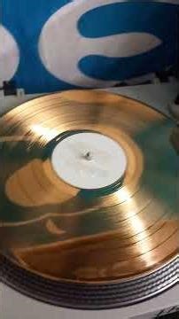 Iron Maiden Gold Plated Disc Scam #ironmaiden #vinyl #scam sca