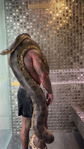 Mike Holston on Instagram: "Best caption wins 🐍"