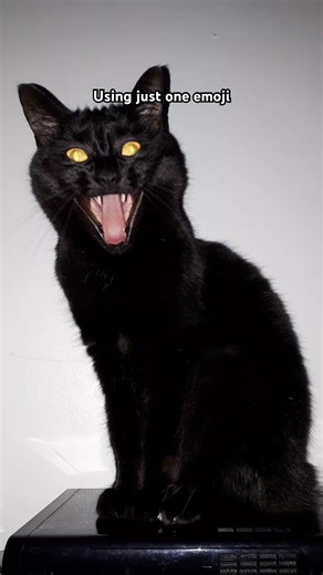 Explain your math teacher using one emoji #cat #trending