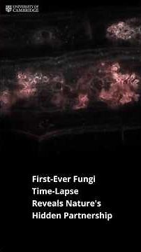 First-Ever Fungi Time-Lapse Reveals Nature's Hidden Partnership