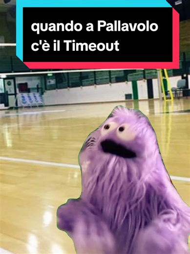 okkey #volleymeme #volleyball #volley #pallavolo #timeout