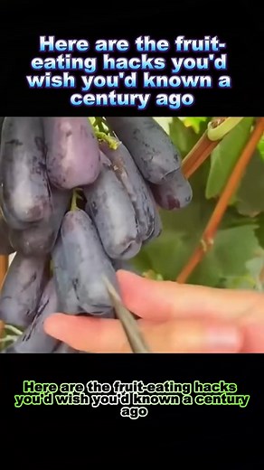 182K views · 5.4K reactions | Fruit eating hacks | Mini Mini | Facebook