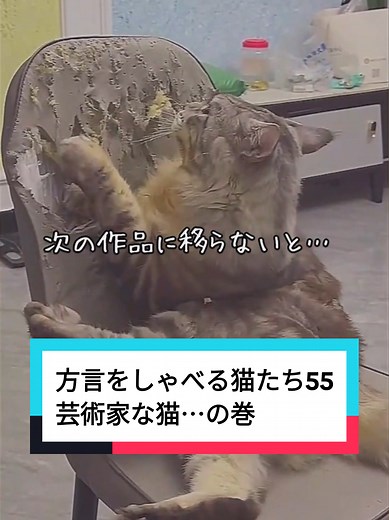 方言をしゃべる猫たち55 芸術家な猫