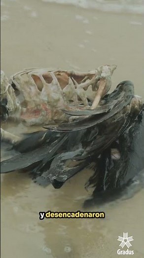 🌋 What was the Permian Extinction? The Day Life Almost Disappeared #gradus #shortlearning