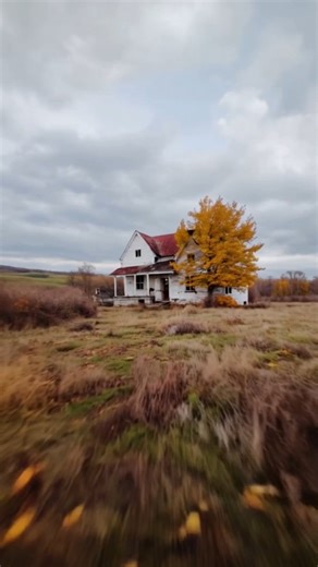 35K views · 1.3K reactions | The Abandoned Farmhouse That Lost Its...