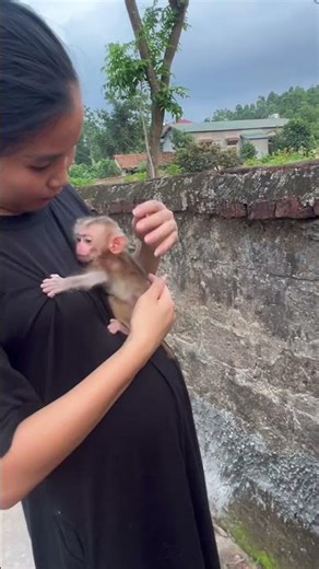 The baby monkey was trapped in a hole. Its mother came to rescue it.😘😘