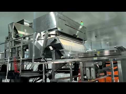 AMD AI Cashews sorting machines working process in Vietnam, #CashewKernels #CashewProcessingPlant