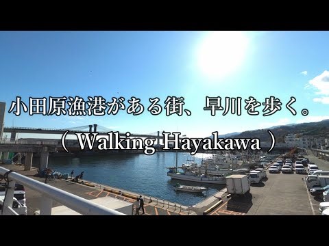 [ 4k ] 神奈川県 散歩 小田原（早川）漁港がある街、早川を歩く。 ( Walking Hayakawa )