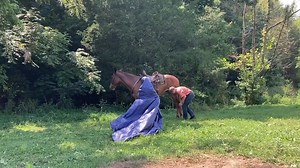 Friendly Mule, Having Fun Mule. #mules #fun Hutto Mule and Farming. | Hutto Mule and Farming
