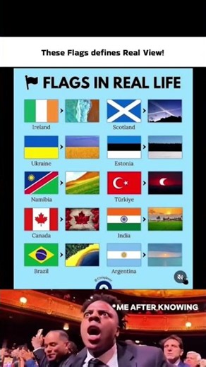 These flags define the real view from each country... 📊✨ #shorts #facts #geographyfacts