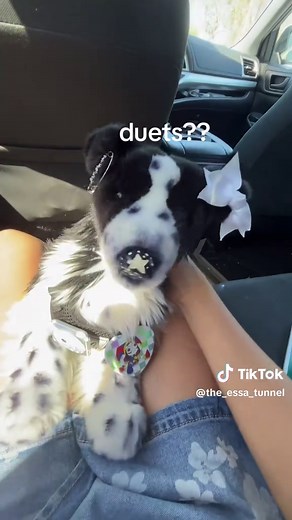 Essa and Buddy duet: 'I'll take him to the nurse' funny train skit