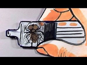 Tortures for Flies: Zero Pressure (HD)