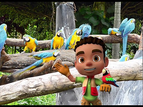 Inspire Science Grades K-2: Learn About Animal Trainers