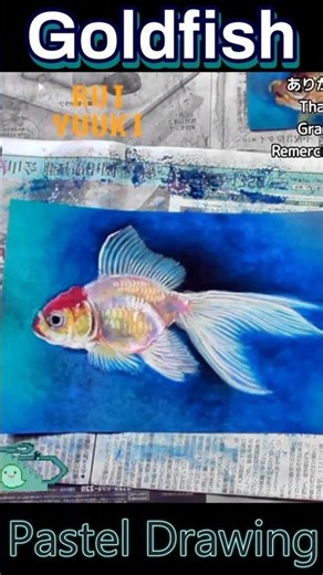 鮮やかな金魚のパステル技法 / Techniques for Vivid Goldfish Pastel