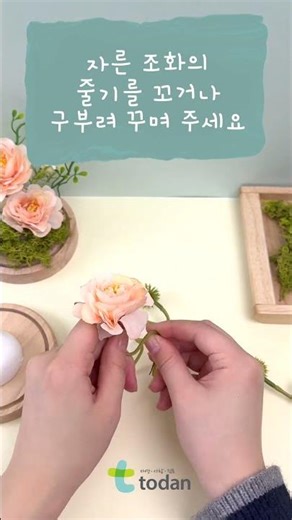 플라워 돔 조화 테라리움 만들기 #만들기놀이 #쉽게만들기 #diy #테라리움 #테라리움만들기