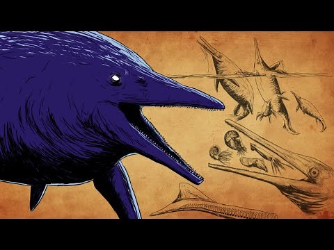 Shonisaurus was BUILT DIFFERENT [PAM 36]