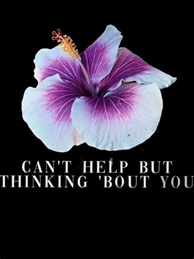 Thinking 'Bout You Lyrics Explained