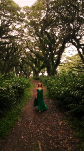 Bali Photographer on Instagram: "Welcome to Pandora of Indonesia 🇮🇩 👩‍🦳 : @monicaxdj 🎥 : @jacky.photos 📍 Djawatan Java island Indonesia #java #dedjawatan #baliphotographer"