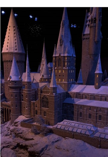 Feeding my inner child🪄#harrypotter #warnerbros #tokyo #japan #fypage