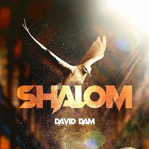 Shalom - David Dam: Song Lyrics, Music Videos & Concerts