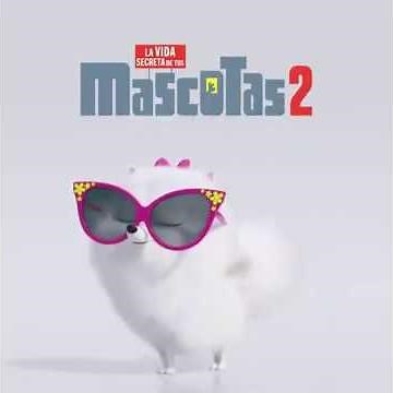 La Vida Secreta De Tus Mascotas 2 | ¿Tienes una Gidget en Casa? | (2019)