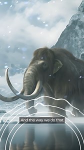 Scientific advisor and ancient DNA expert @arcticdalen on comparing ancient mammoth DNA to African elephants 🧬🦣 | Colossal Biosciences