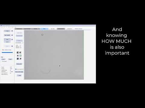 👉 Subvisible Particle Classification in USP 1788: Fibers vs Silicone Oil vs Particles