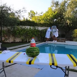 21K views · 228 reactions | Surprising My Sister With A New Puppy! | Brent Rivera | Facebook