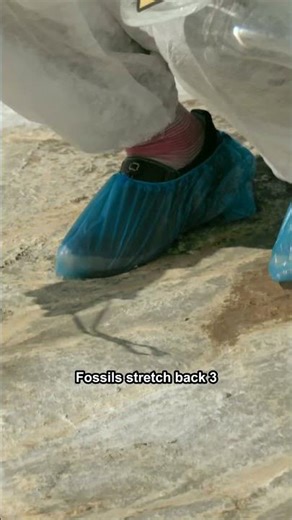 Stromatolites - Living Rock #stromatolites #microbes #geology #science # #stromatolites #microbes