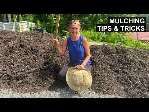 Tips and Tricks for How to Lay Mulch Like a Pro