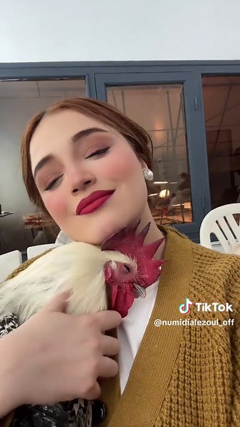 Caring for Your Pet Rooster: Tips and Tricks