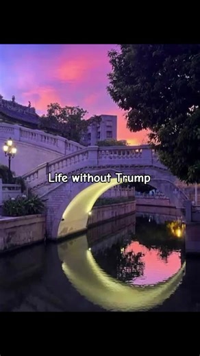 Baddies 🤗🤗 (@baddies_2011)’s video of trump sneakers shoes