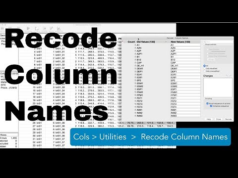 Recode Column Names