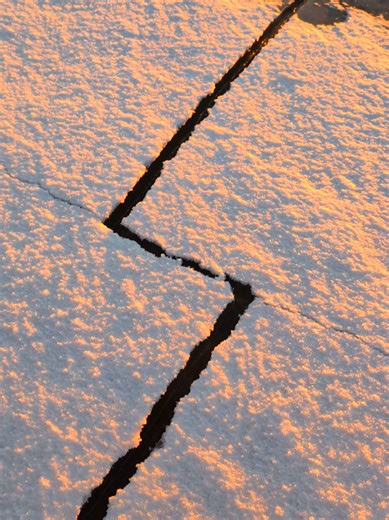 Discover Rare Right Angles in Nature's Beauty