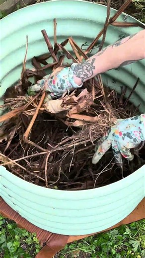 Filling a raised garden bed, using only what I currently have
