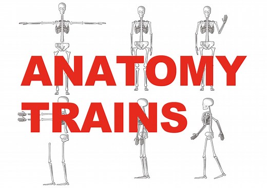 アナトミートレイン！筋膜の付着部と臨床的な考え方を理学療法士が解説！！ | RehaRock〜リハロック〜
