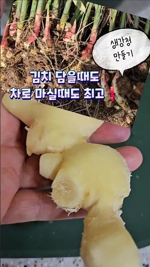 💥How to make ginger syrup👉 Make healthy ginger like this all year round