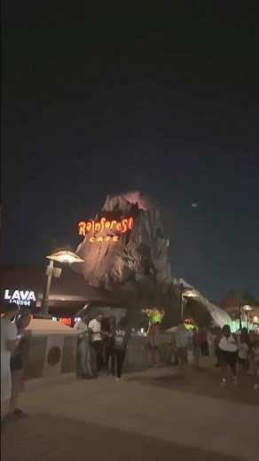 A Quick Look Inside The Rainforest Cafe at Disney Springs #disney