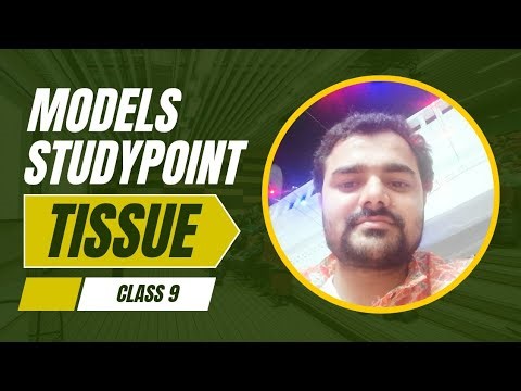 Complex permanent tissue जटिल स्थायी ऊतक