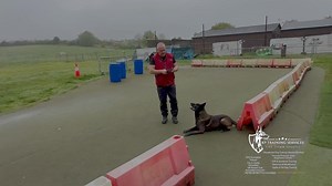 No matter what the helper/decoy does he does can’t distract this dog 🔥🔥🐾🐾💯💯 Mikey Mac & his Malinois called Ragnor in the UK 🇬🇧 | K9 Training Services: Dog Training Centre of Excellence