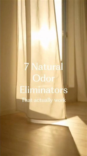 7 Natural Odor Eliminators (that actually work!)