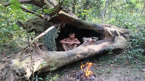 Primitive home in a tree trunk