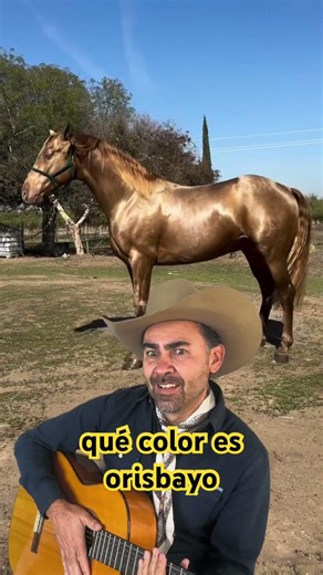 👇 ¿Sabes qué color es mi caballo? Cuéntame abajo.#musica #mexico #charreria #parati #fyp