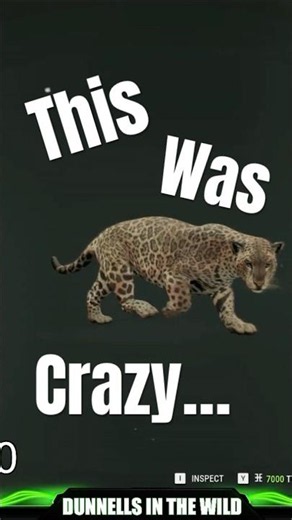WAIT… Why Does This Jaguar Look Like THAT?! 😱