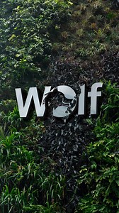 21K views · 346 reactions | Create Wolf logo✌️using my all time...