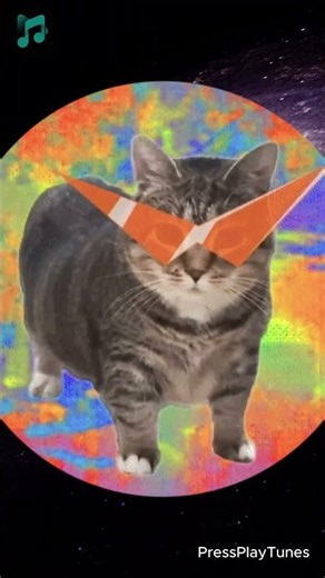 OIIAI Cat Hits the Bass Drop and Spirals Into Space 🐱🚀