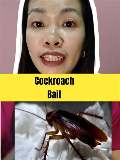 Effective Cockroach Bait Solutions for Home Pest Control