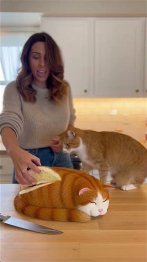 Cat Thinks Cake Is a Real Cat & Attacks! 🍰🐱 CCTV-Style Viral Prankktse